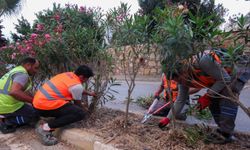 Bodrum Belediyesi ekipleri saha çalışmalarında hız kesmiyor