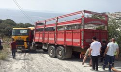 Bodrum'da korkunç kaza... İki araç arasında sıkışan adam hayatını kaybetti