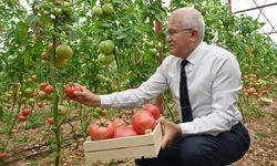 Foodfest’in ilk hasadı Kumluca Domatesi ile oldu