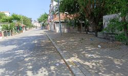 Antalya sokaklarındaki ‘Dut’ kirliliği bıktırdı