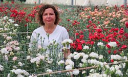 Fusarium hastalığının çaresi var mı? Şifa Antalya’dan geldi