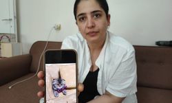 Kayıp kedi bir evliliğin sonu olacak