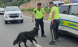 Milas’ta zincirleme kazada yürekleri ısıtan görüntü