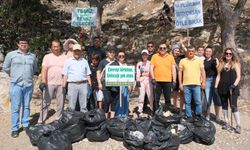 Yabancı uyruklu kadınlar, ormanı temizledi