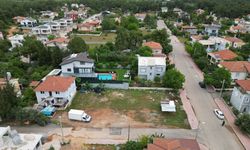 Kepez’de ağaç kesimi tartışma yarattı! Yetkililerden açıklama geldi