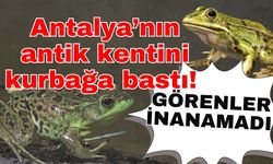 Antalya’nın antik kentini kurbağa bastı! Görenler inanamadı