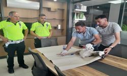 Konya’da polis ekipleri denetim sırasında buldukları yaralı leyleği tedavi ettirdi