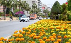 Mersin'in estetiği fidanlık yerleşkesinden sağlanıyor