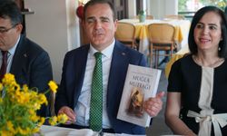Muğla’ya uluslararası ödül