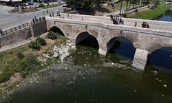 Seyhan Nehri kirlilikten yok oluyor