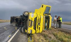 Konya'da tır devrildi, 29 angus firar etti