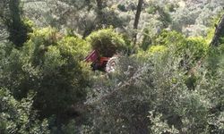 Muğla’da traktör ormanlık alana devrildi