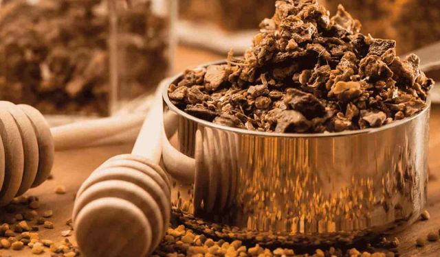 Okula başlayan çocuklar için propolis önem taşıyor