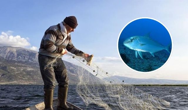 Antalyalı balıkçılar dikkat.. Antalya’da bu balıkları avlayanlara ceza yağıyor