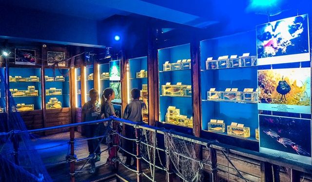 Antalya’daki korkunç müzeye kötü haber… 10 yılın ardından koleksiyon boşaltıldı