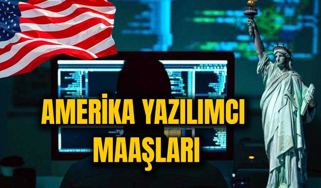 Amerika Yazılımcı Maaşları 2024! Amerika'da Yazılım Mühendisi Olarak Nasıl Çalışılır?