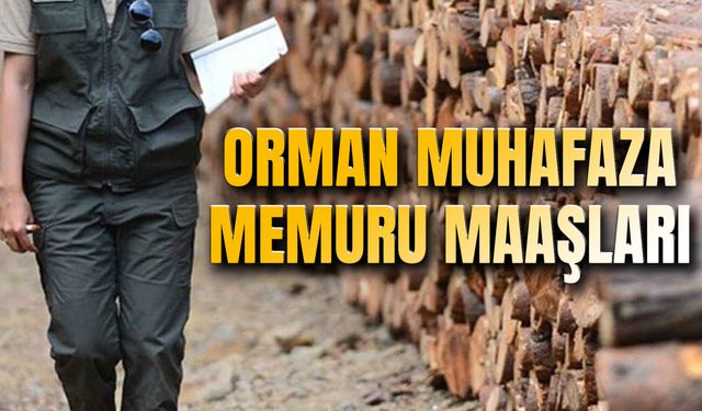 Orman Muhafaza Memuru Maaşı 2024: Atama Puanları Ne Kadar?