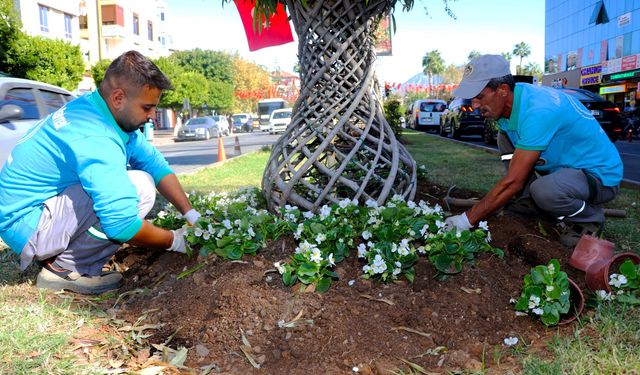 Alanya’da mevsimlik çiçek dikimi gerçekleştiriliyor