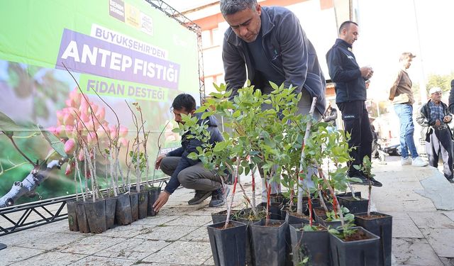 Üreticilere Büyükşehir Belediyesi’nden büyük destek