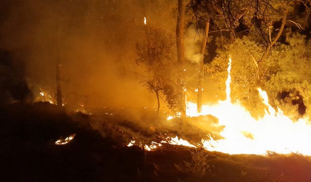 Antalya’da kamp yapmak isterlerken ormanı yaktılar