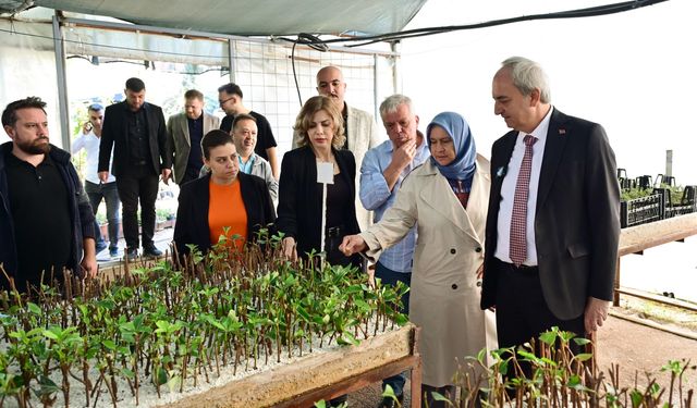 Kepez Belediyesi, kendi yetiştirdiği bitkilerle Kepez’i yeşillendiriyor