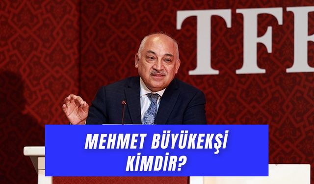 Mehmet Büyükekşi Şirketleri Neler? Eski TFF Başkanı Kimdir?