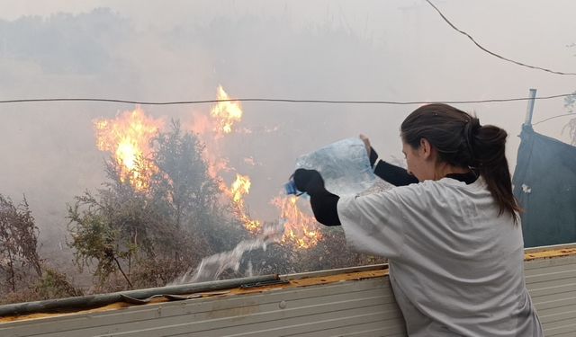 Sazlık alandaki yangına hortum ve bidonlarla müdahale ettiler