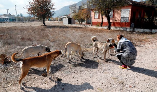 Antalya’da akıl almaz olay… Böylesi görülmedi