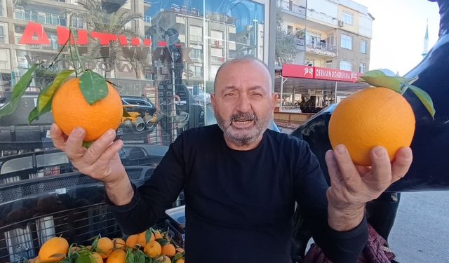 Antalya'nın dev portakalları: 3 tanesi 2 kilo geliyor