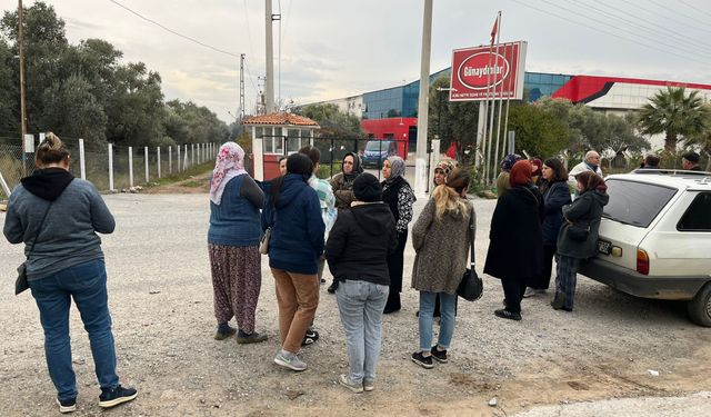 İşletme iflas etti alacaklılar kapıya dayandı