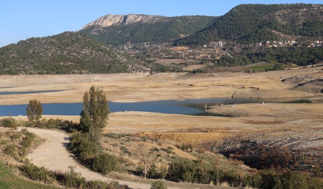 Adana'da sıcak hava ağaçları erken uyandırdı