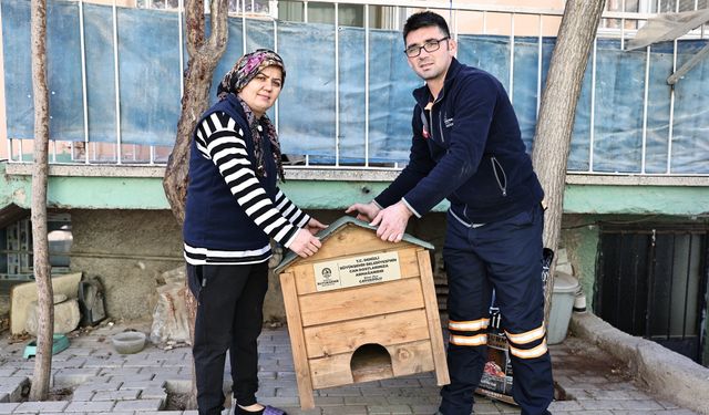 Hayvanseverler istedi, Başkan Çavuşoğlu sözünü tuttu… “Onlar bizim sessiz can dostlarımız”