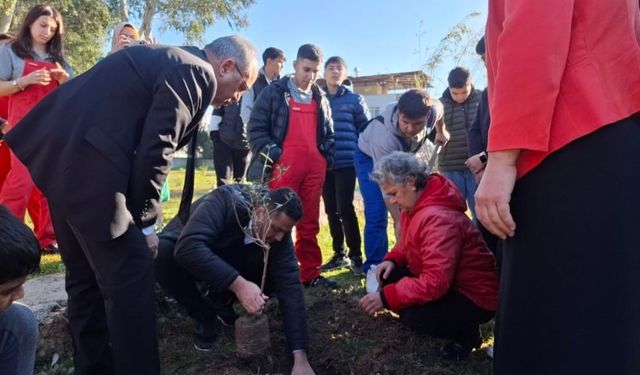 Aksu'da öğrenciler zeytin fidanı dikti