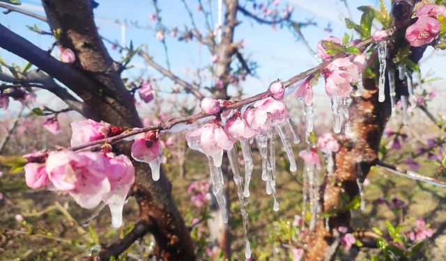 Böylesi hiç görülmedi! Türkiye’nin dört bir yanından şikayet yağdı