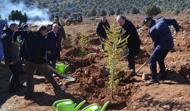 Korkuteli'de fidanlar toprakla buluştu