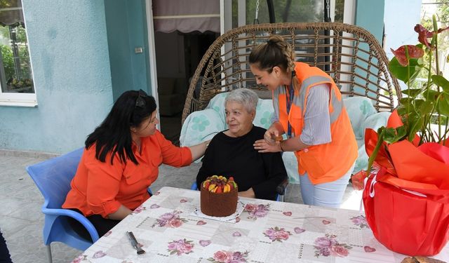 Kuşadası Belediyesi'nden yaşlı çınara doğum günü kutlaması