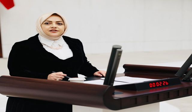 Milletvekilinden sert İklim Yasası çıkışı