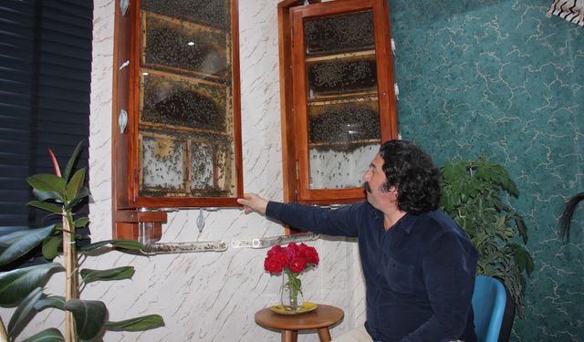 Fabrikasında 5 bin işçi ile 'bal' gibi çalışıyor