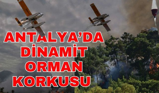 Antalya’da dinamit orman korkusu