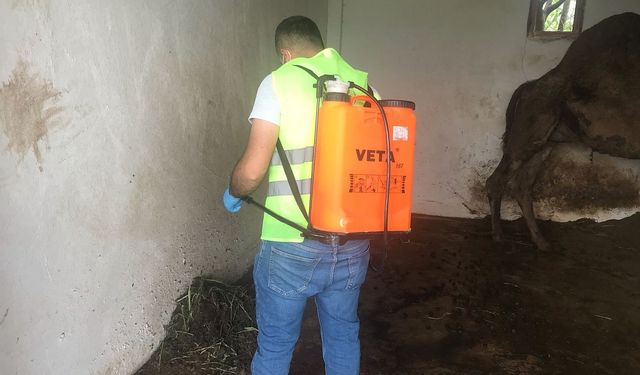 Germencik Belediyesi’nden yoğun ilaçlama mesaisi