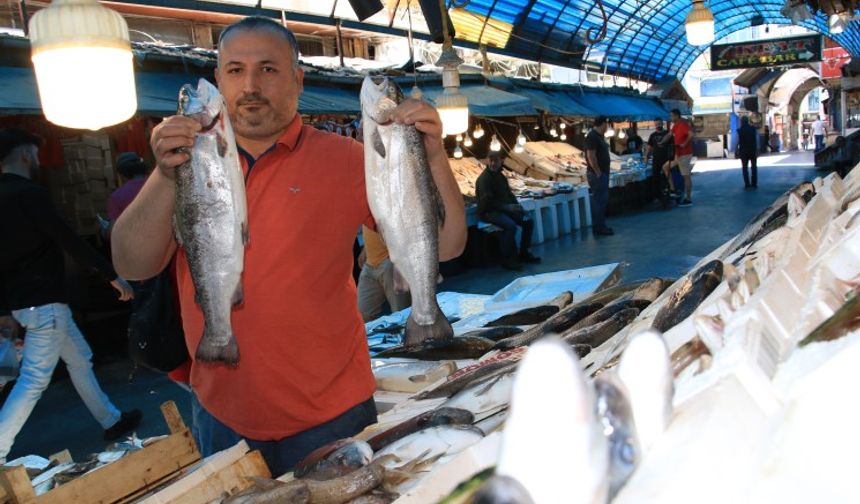 Balıkçılar bakanlığa seslendi… Halk ucuz balık tüketsin