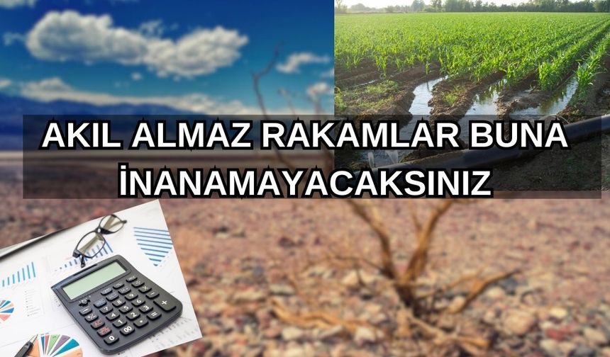 4.3 milyar metreküp su kaynağı var, 6.5 milyar metreküp su tüketiyoruz… ‘Geleceği kurutuyoruz’