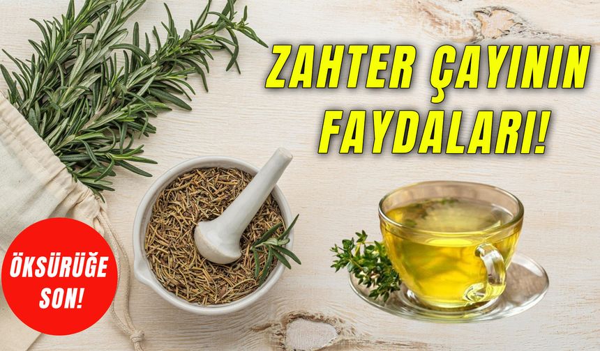 Öksürüğe Savaş Açıyor! Bir Bardağı Bile Boğaz Ağrısına Etkili… Zahter Çayının Faydaları Neler?