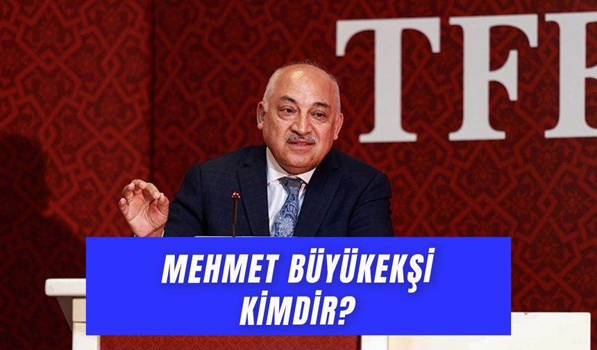 Mehmet Büyükekşi Şirketleri Neler? Eski TFF Başkanı Kimdir?