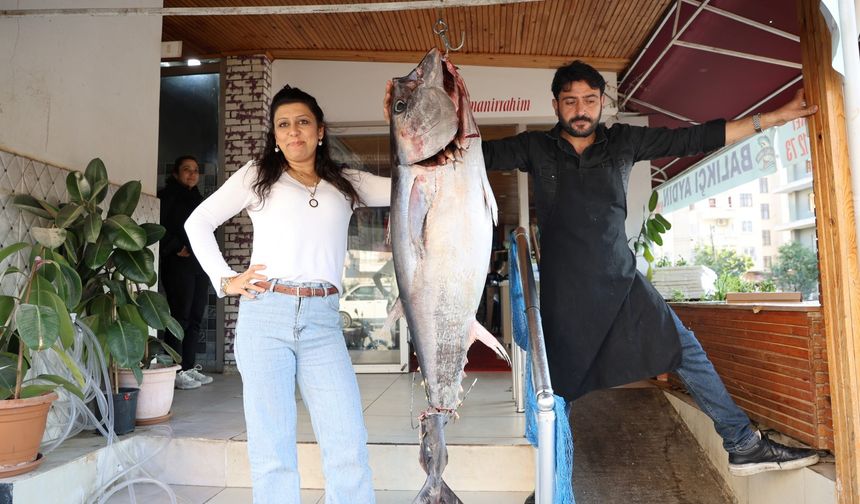 Adana’da balıkçı ağına insan boyunda orkinos takıldı