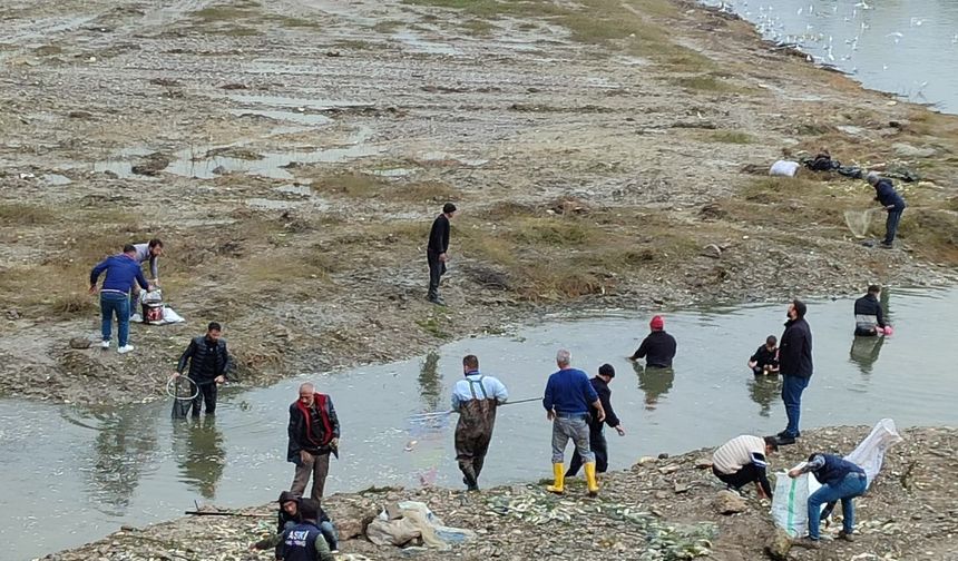 Oksijensiz kalan balıkları çuval çuval topladılar