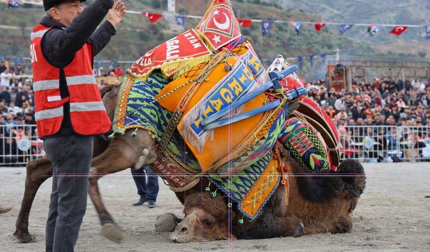 Dünya kupasını Karagöz ve Ertabey paylaştı