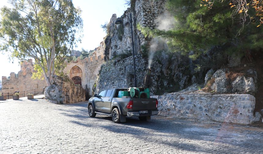 Alanya Belediyesi kimyasal kullanmadan çam kese böceğine önlem aldı