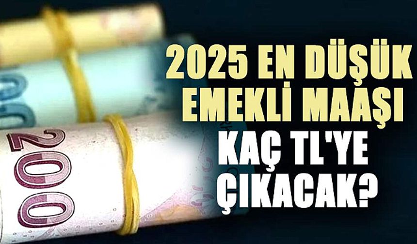 En düşük emekli maaşı 20 Bin 500 TL olmalı