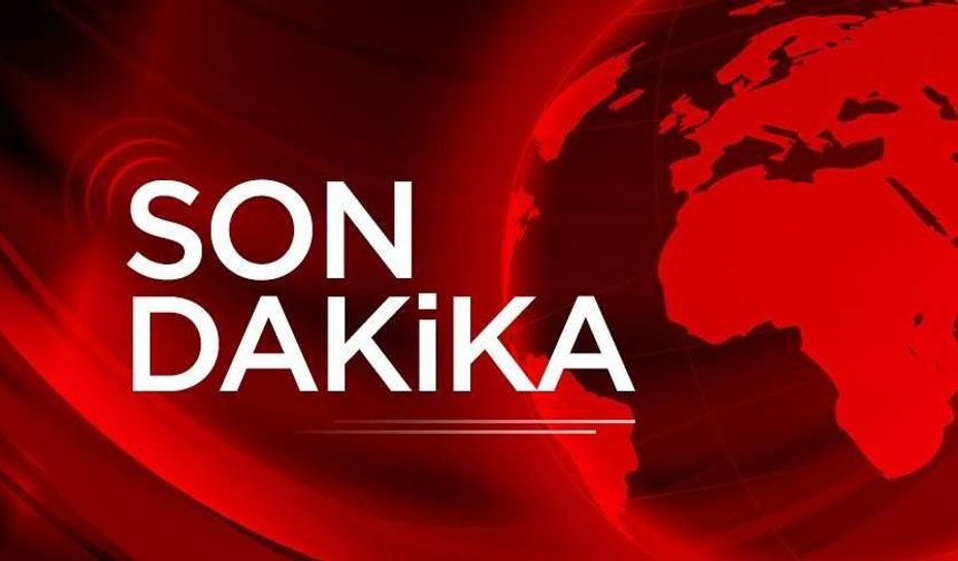 Antalya’da hayvan katliamı iddiası… Vatandaşlar dehşete düştü